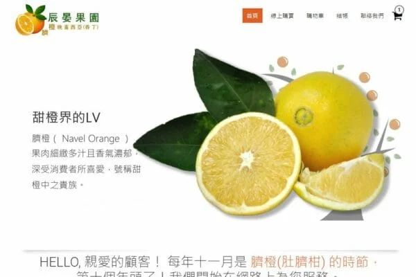 辰晏果園－台東自產肚臍柑(臍橙、財丁)、晚崙西亞(香丁
